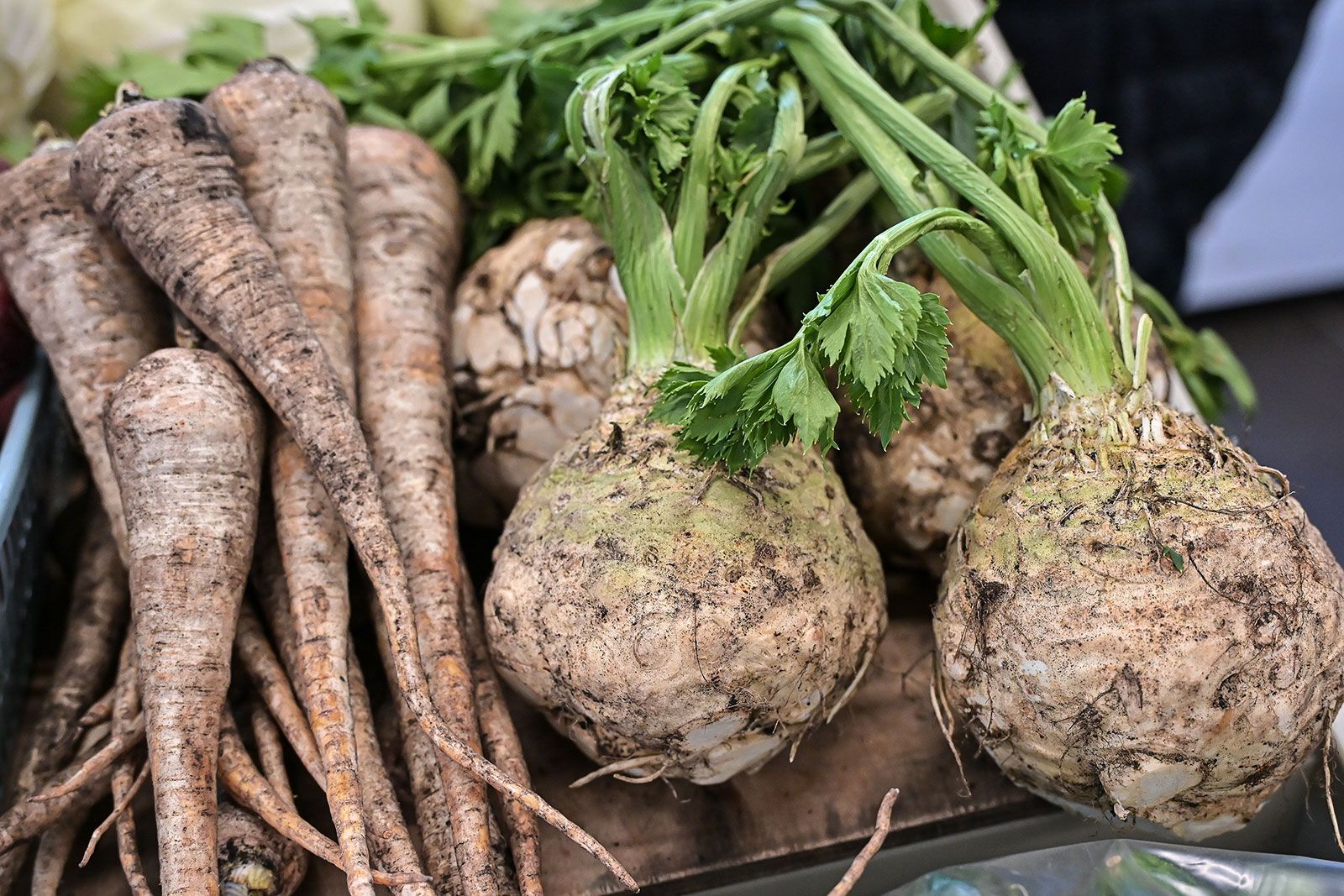 Осенние корнеплоды появились на прилавках московских ярмарок Осенние корнеплоды появились на прилавках московских ярмарок