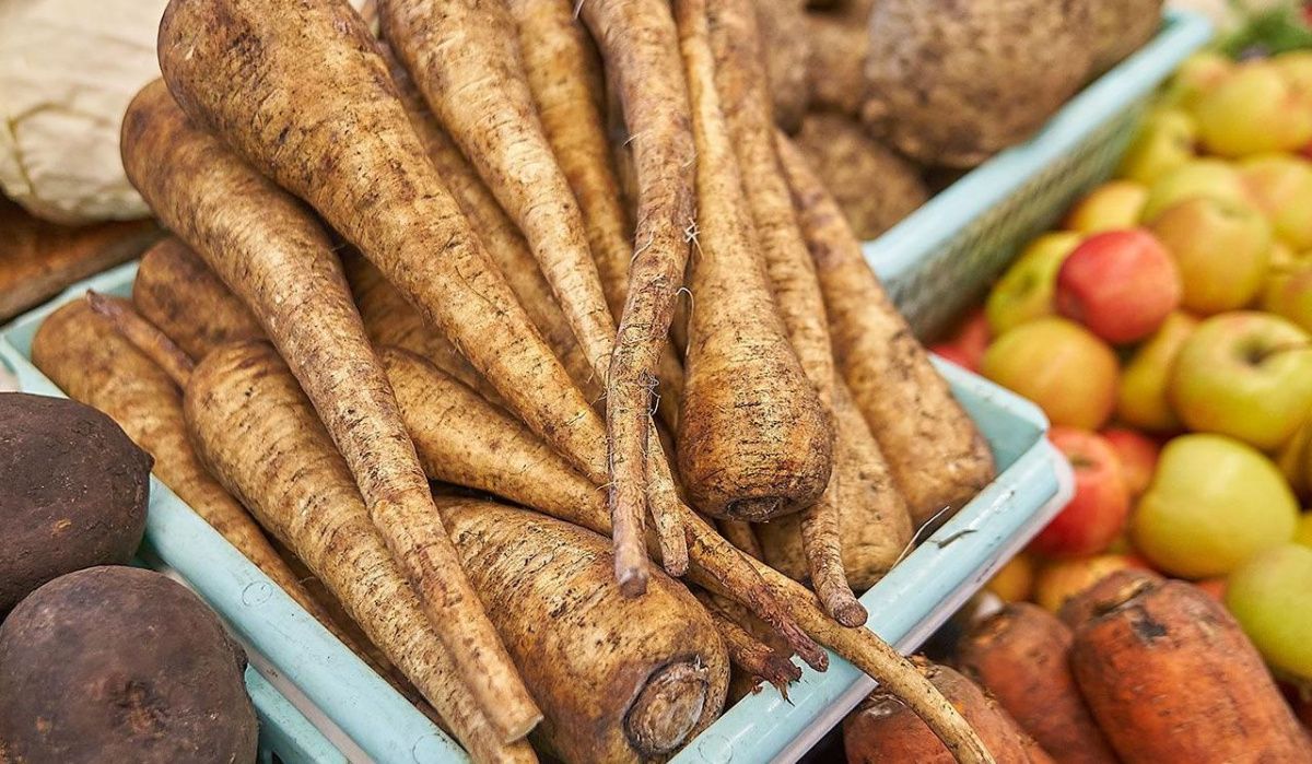 Осенние корнеплоды появились на прилавках московских ярмарок Осенние корнеплоды появились на прилавках московских ярмарок