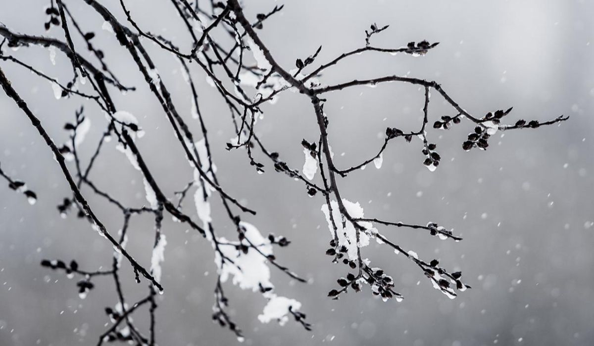 Москвичам прогнозируют мокрый снег и сильный ветер 9 апреля