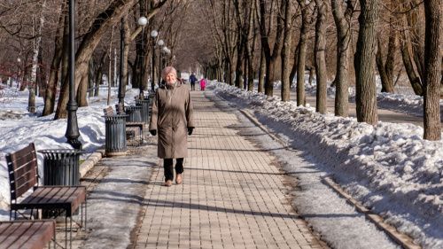 В середине марта в Москве потеплеет до +7 градусов