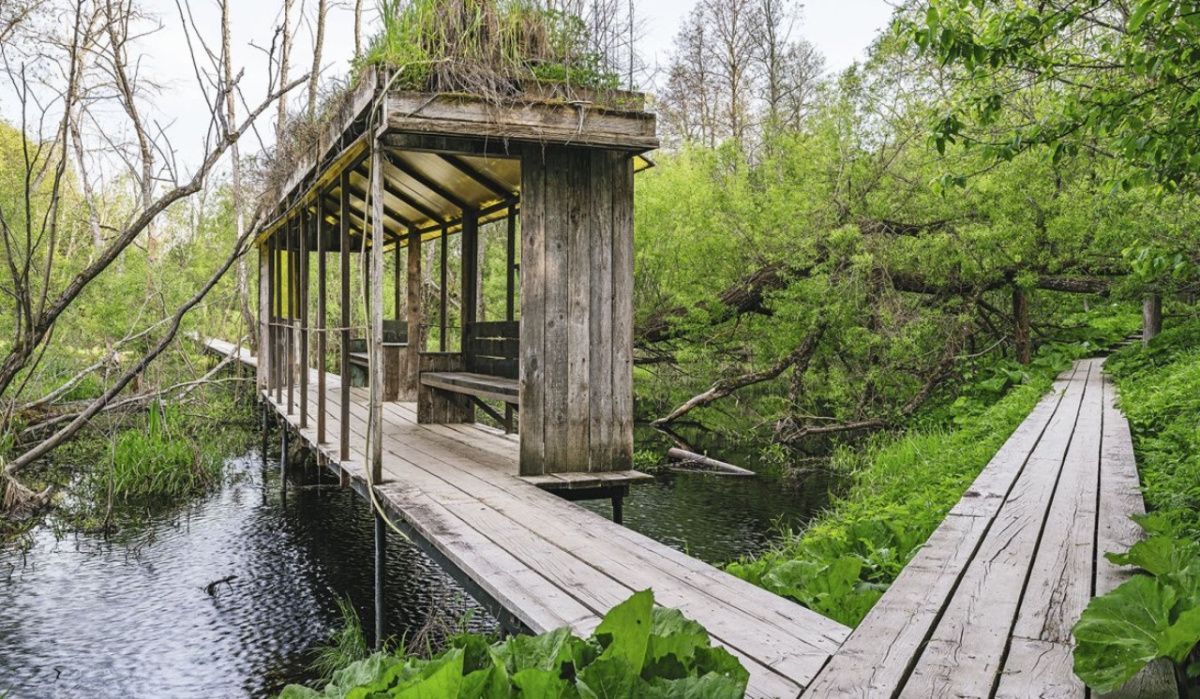 Москвичам предложили поехать за искусством и атмосферой в арт-усадьбу Веретьево