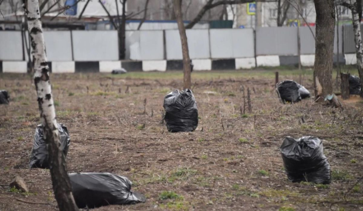 В Омске территорию детского спортивного центра засыпали золой