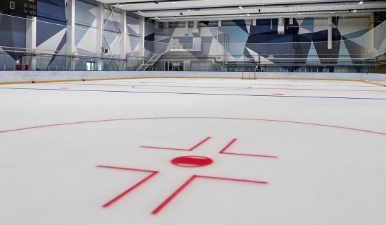 С начала года в Москве выделены шесть участков для строительства спорткомплексов с ледовыми площадками