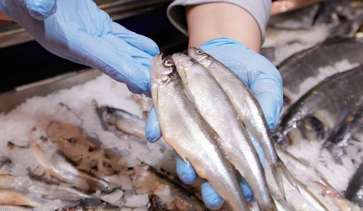 На рыбных рынках «Москва — на волне» начался сезон корюшки