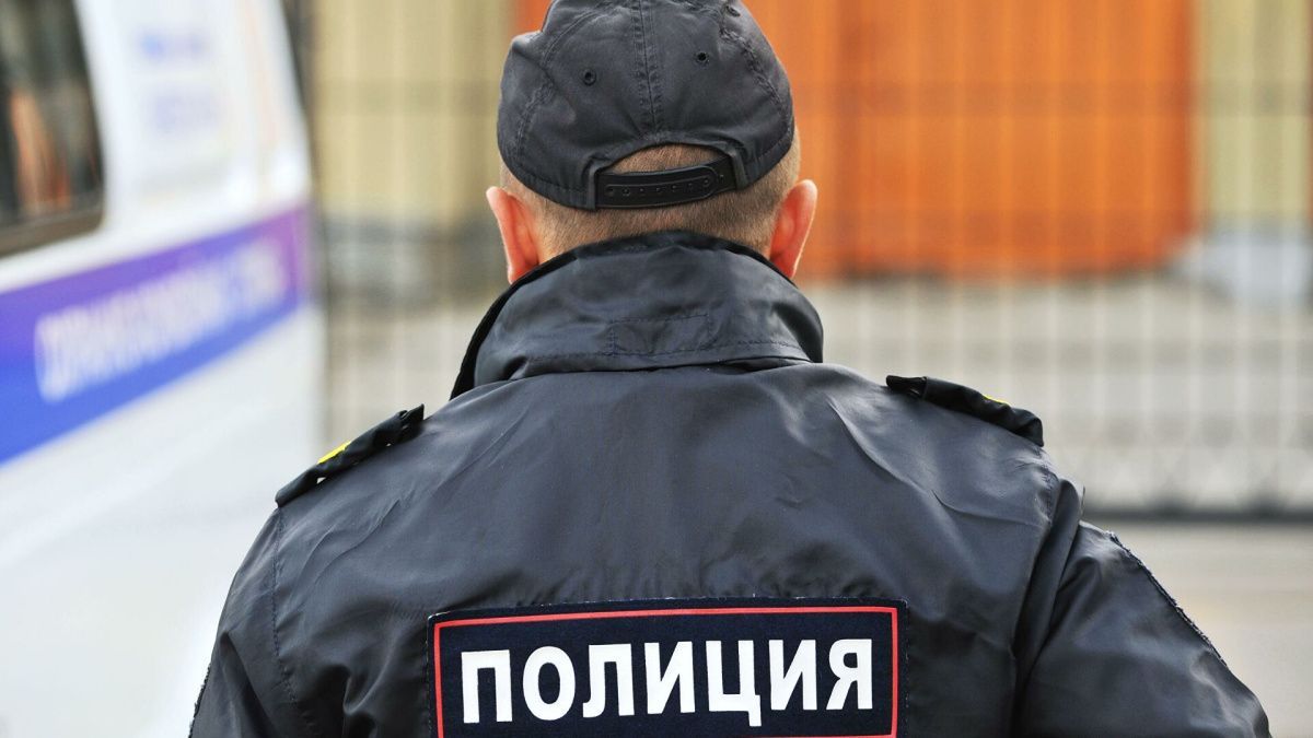 Мигранты избили полицейских в московском метро