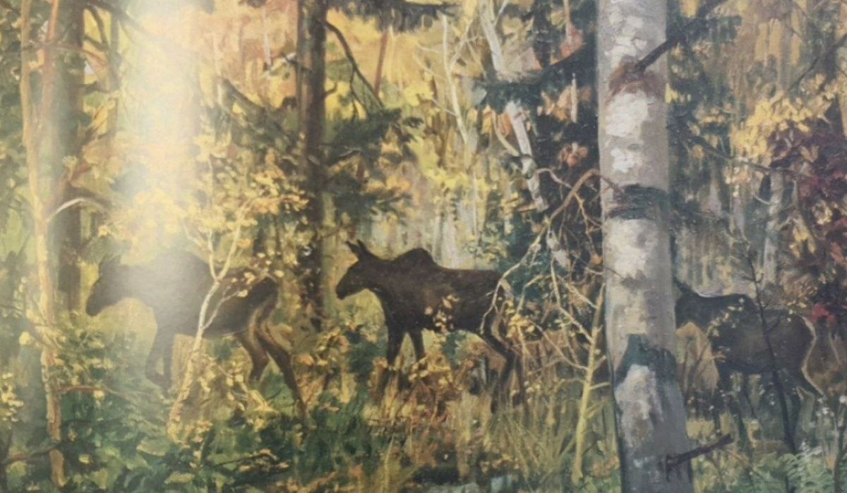 Выставка «Линии жизни и войны» стартует в Музее Победы