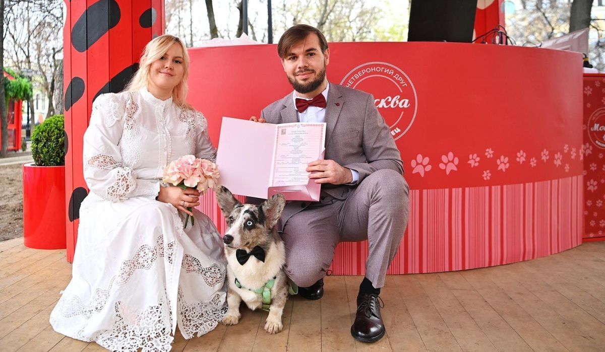 Московские загсы получили рекордные 40 тыс. заявлений на свадьбы в 2026 году