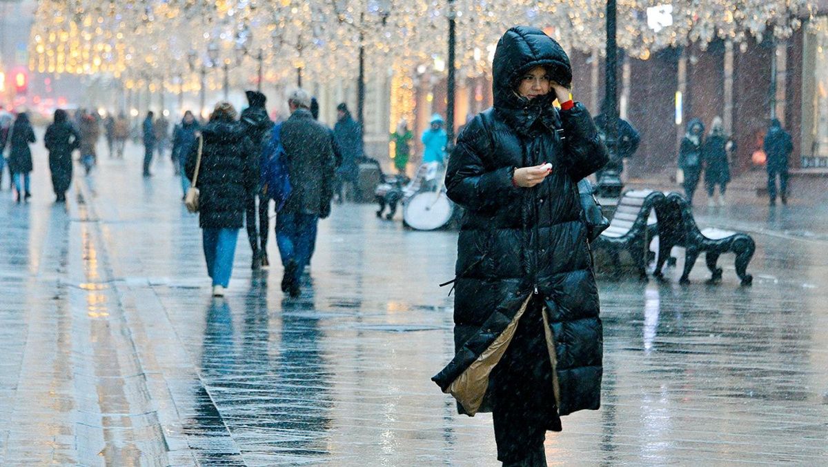 В Москве ожидается мокрый снег и сильный ветер