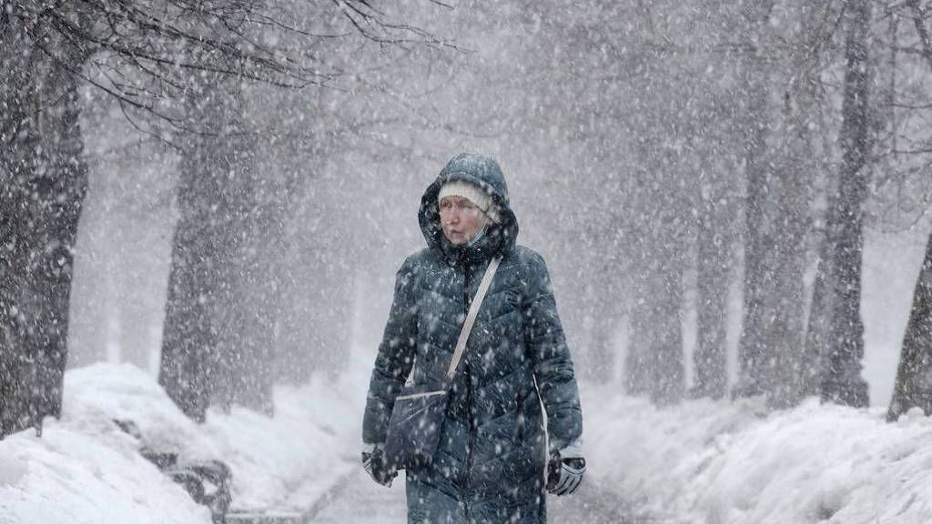 В Москве выпадет самый сильный мокрый снегопад за 73 года