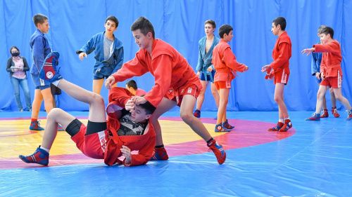 Центр самбо и бокса откроется в Лужниках в Москве