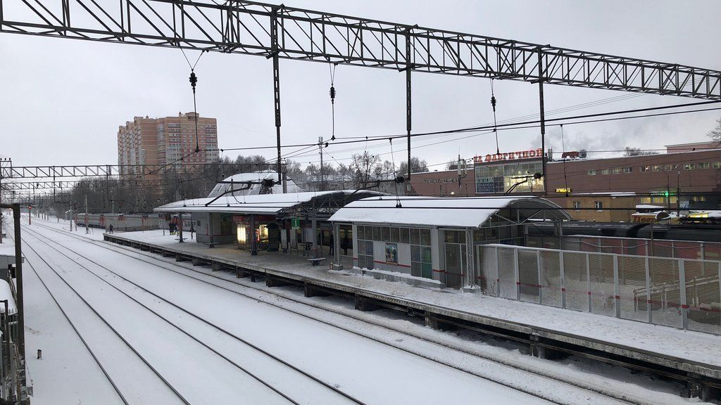 В Подмосковье 10-летняя девочка погибла под электричкой