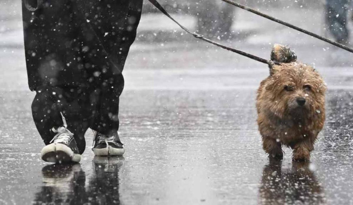 В Москве в понедельник ожидается снег