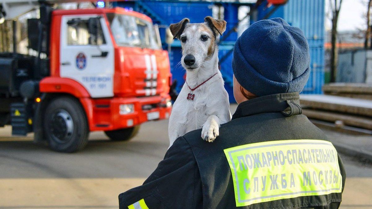 Челябинцам напомнили о газовой безопасности