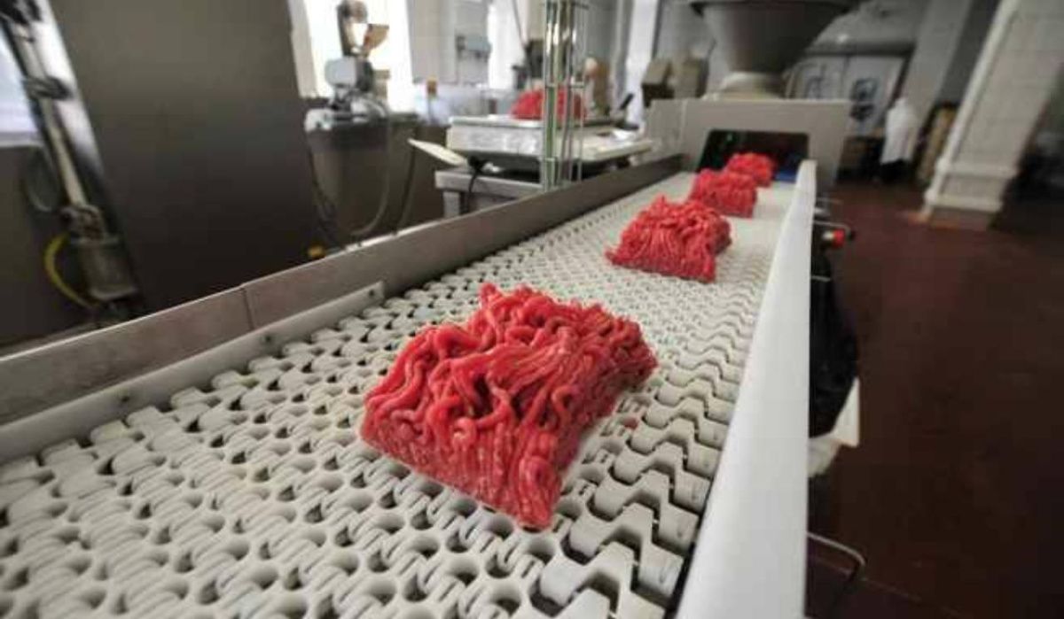 Кишечную палочку обнаружили в фарше омского производителя