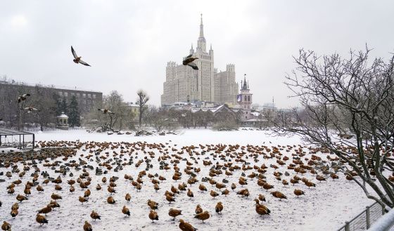 В Москве в ближайшие дни ожидают похолодание и гололедицу