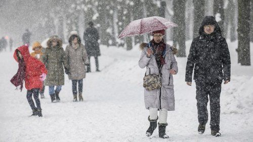 Синоптик рассказал, когда в Москве начнутся снегопады