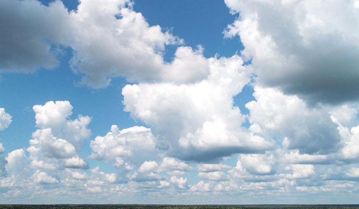 Собянин выразил благодарность военным за успешное уничтожение 250 БПЛА на подлете к Москве