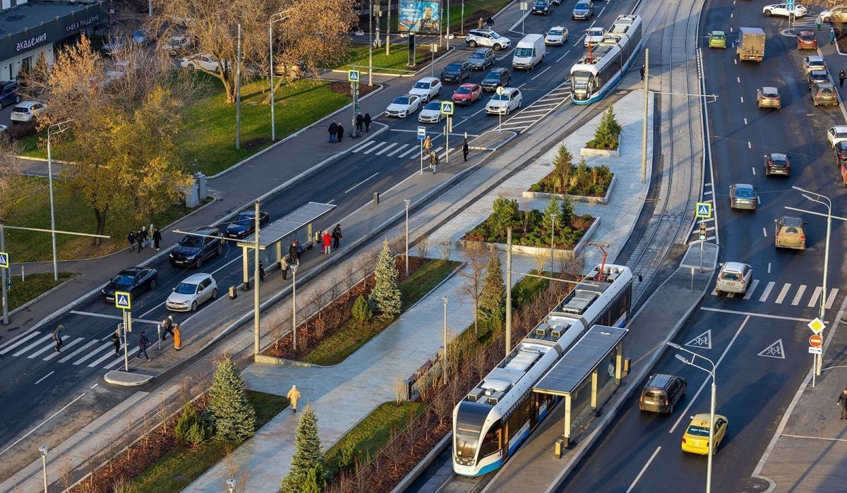 Десять тысяч новых деревьев преобразят улицы и набережные Москвы