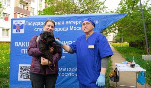 Для бесплатной вакцинации собак в Москве откроются более 120 пунктов 