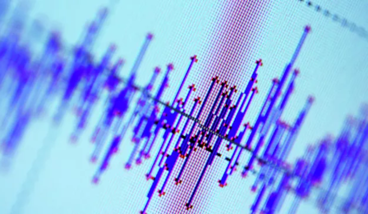 Серию землетрясений зафиксировали в Сочи