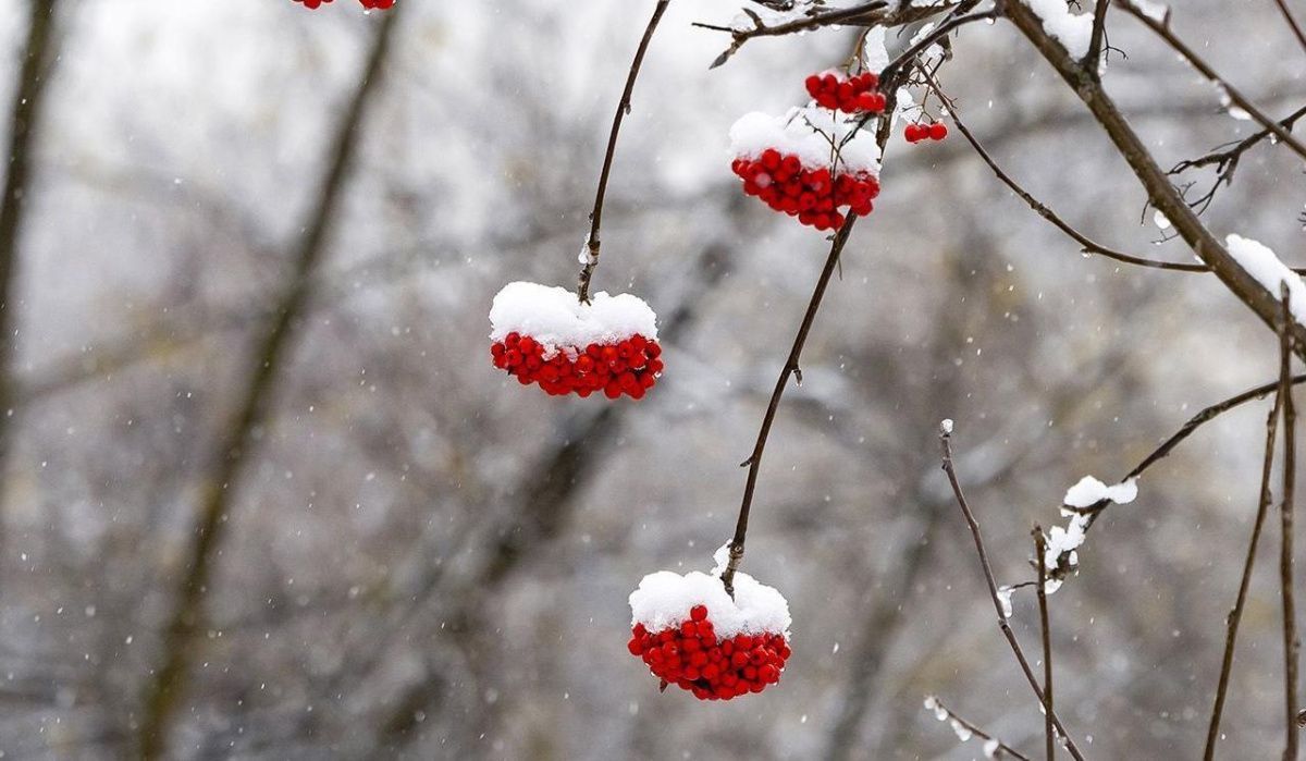 Столичные синоптики представили прогноз погоды на ближайшие дни