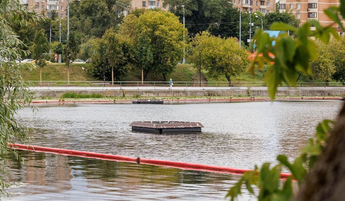 В Москве создали плавучие модули для борьбы с сине-зелёными водорослями
