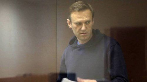 Семья ветерана рассказала, чего на самом деле хочет от Навального