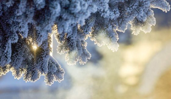 Москву ждет усиление морозов и продолжение снегопадов