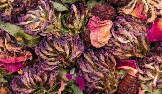 Чаи из Карелии и Сибири: богатство вкусов на московских ярмарках