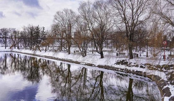 Потепление до +5°C ожидается в Москве в ближайшие дни