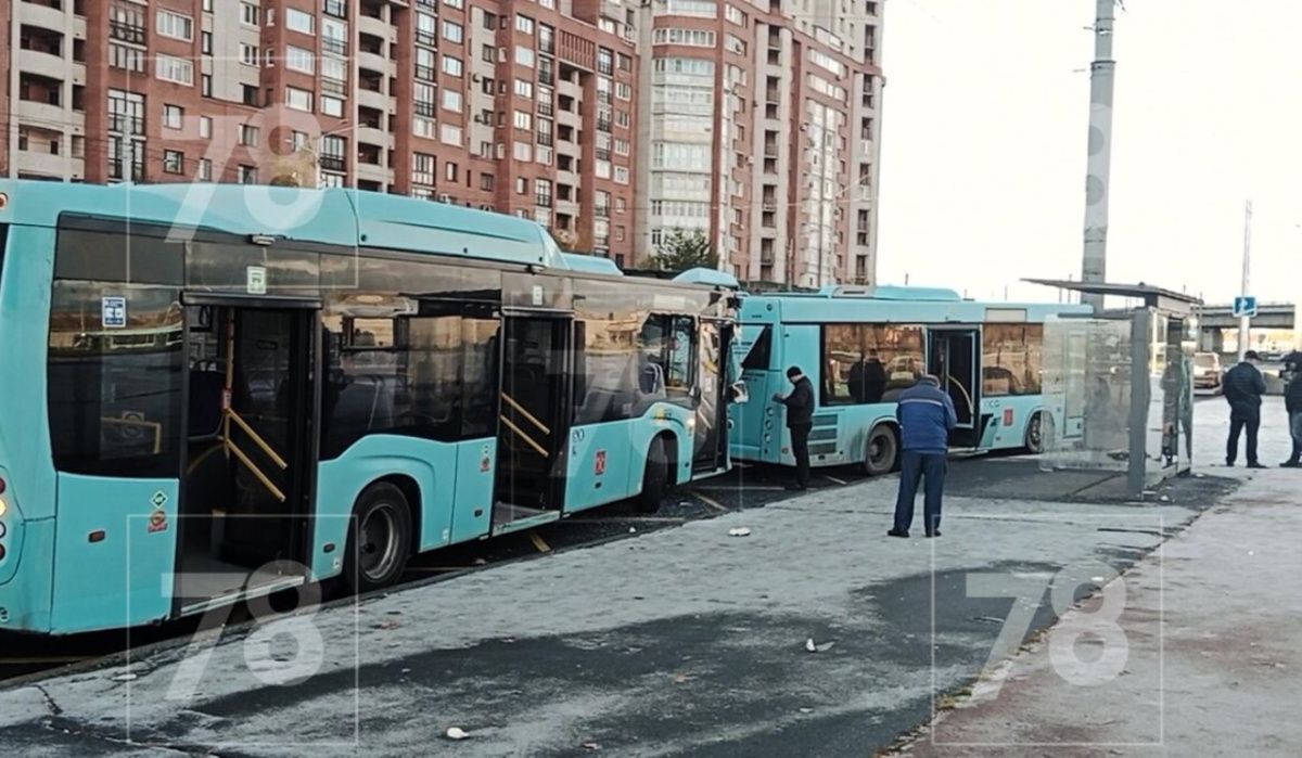 Два автобуса столкнулись на остановке в Петербурге: подробности происшествия