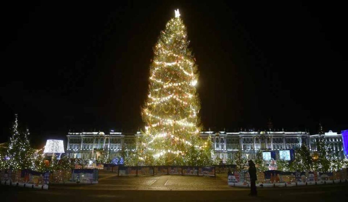 В Петербурге назвали дату установки новогодней елки на Дворцовой площади