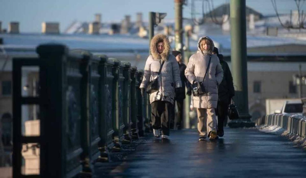 Ленинградская область встретила первые заморозки