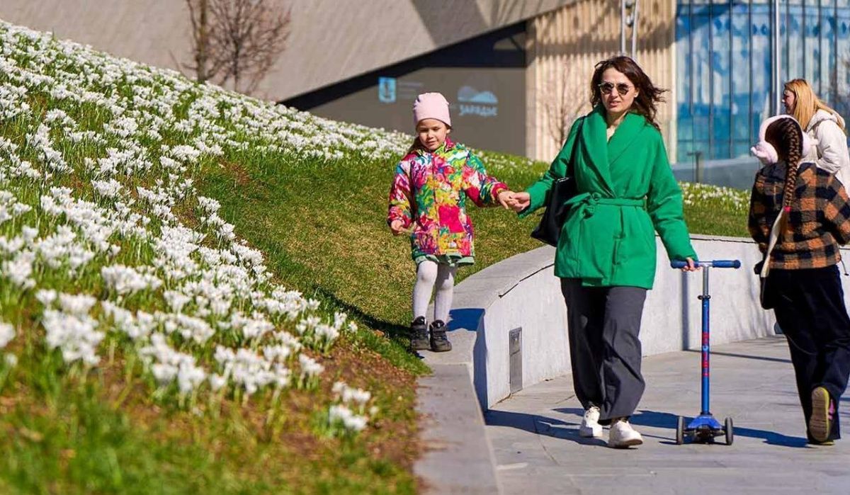 Столичную погоду ждёт трансформация от дождей к устойчивому теплу