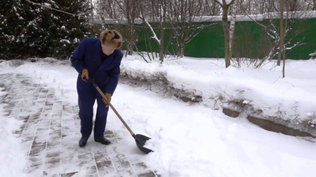 Жириновский показал свою реакцию на снегопад в Москве
