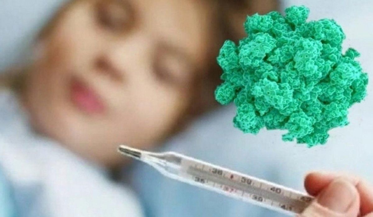 У заболевших в Подмосковье детей обнаружили норовирус
