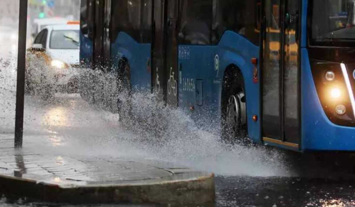 Новые штрафы для водителей вводят в России с этой осени