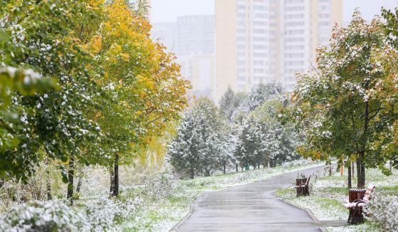 Заморозки и мокрый снег: в Москве прогнозируют резкое ухудшение погоды