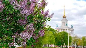 Новости