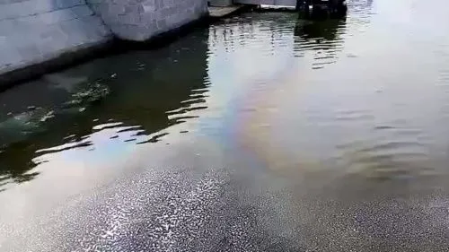 На Москва-реке обнаружили нефтяное пятно