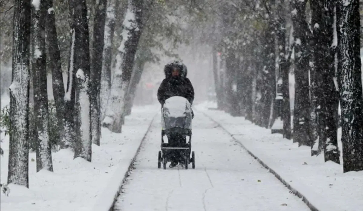 Мощный снегопад пообещали москвичам к выходным