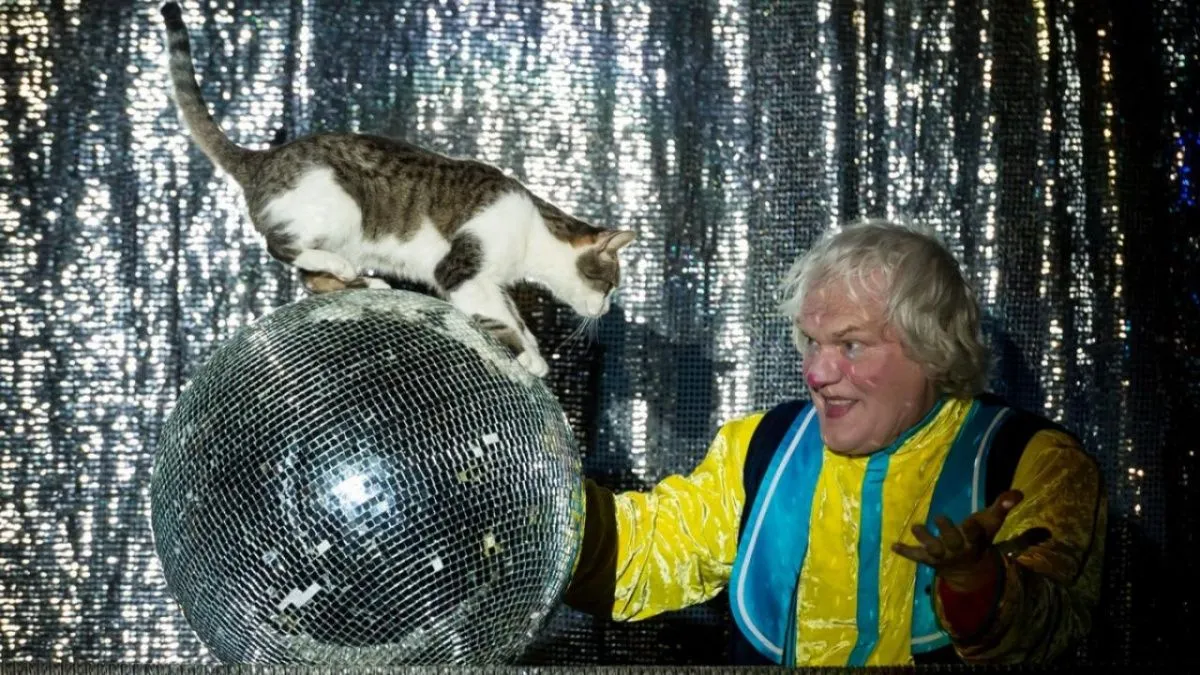 Единственный в мире театр кошек представит шоу в канун Года Тигра