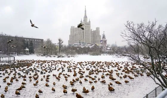 В Москве в ближайшие дни ожидают похолодание и гололедицу