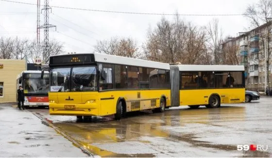 Пермь определила маршруты для автобусов-«гармошек» с 2025 года