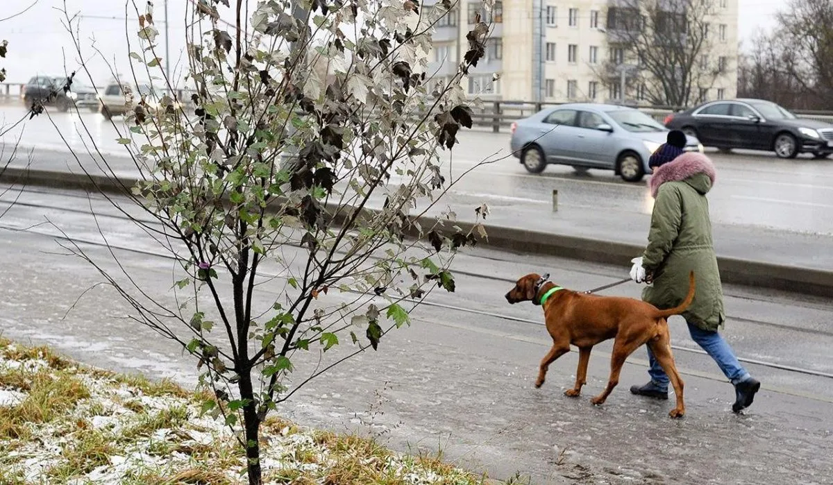 В Москве ожидается резкое ухудшение погоды